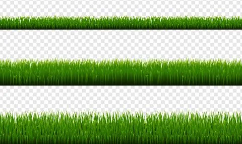 Green Grass Border Isolated Transparent Background Stock Illustration