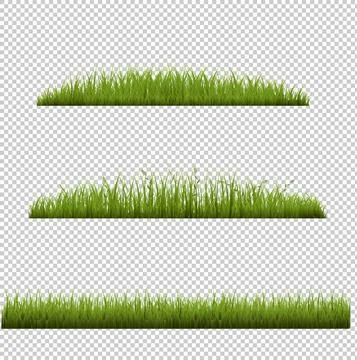 Green Grass Border Isolated Transparent Background Stock Illustration