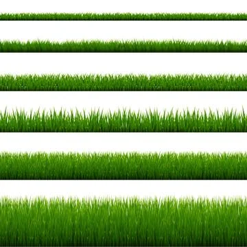 Green Grass Border Isolated White Background Stock Illustration