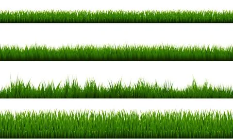 Green Grass Border Isolated White Background Illustrazione stock