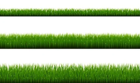 Green Grass Border Isolated White Background Illustrazione stock
