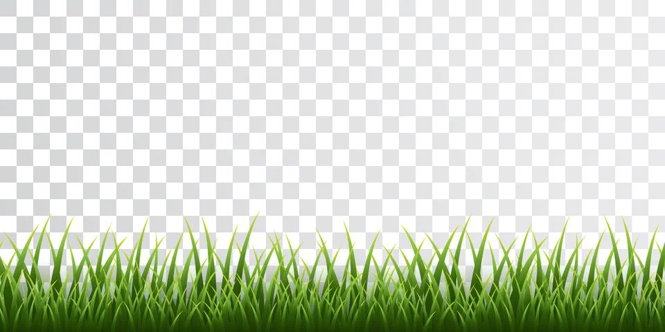 Green grass border set on transparent background. Vector Illustration. Stock Illustration