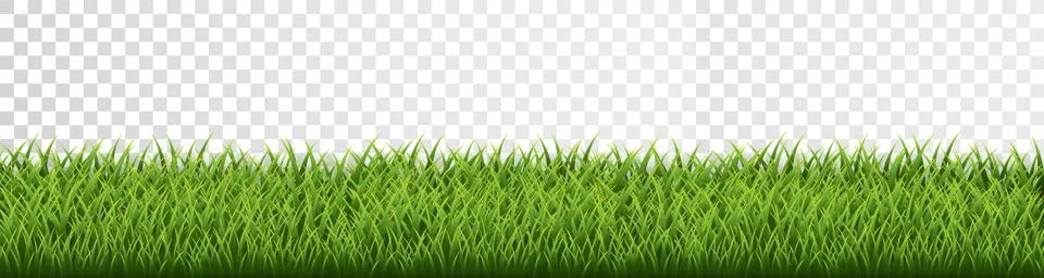 Green grass border set on transparent background. Vector Illustration. Stock Illustration