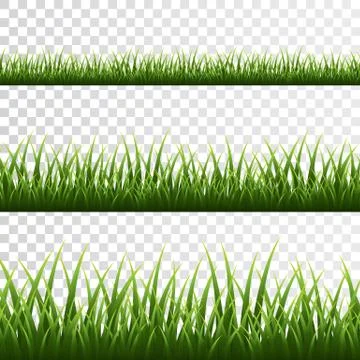 Green grass border set on transparent background. Vector Illustration. Stock Illustration