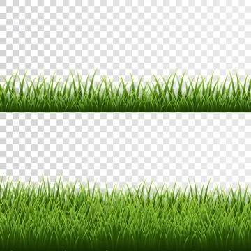 Green grass border set on transparent background. Vector Illustration. Stock Illustration