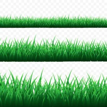 Green grass border set on transparent background. Vector Illustration. Stock Illustration