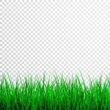 Green Grass Border Set, Vector Illustration. Illustrazione stock