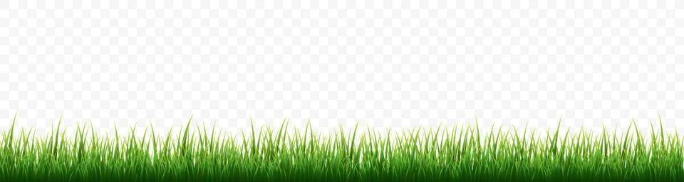 Green grass border set on white background. Vector Illustration. Stock Illustration