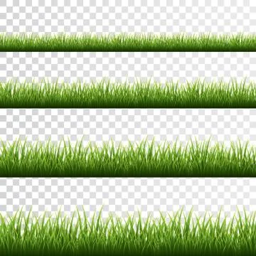 Green grass border set on white background. Vector Illustration. Illustrazione stock
