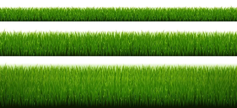 Green Grass Border Set With White Background Stock Illustration
