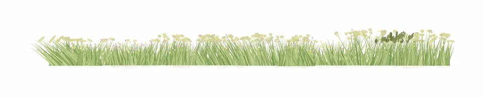 Green grass border with tiny wildflowers on white background. Spring meadow.. イラスト素材
