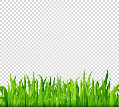 Green grass border on transparent background vector Stock Illustration