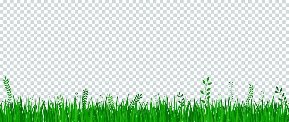 Green grass border on transparent background. Stock-Illustration