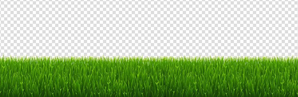 Green Grass Border With Transparent Background Stock Illustration