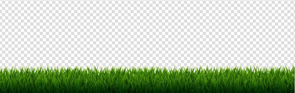 Green Grass Border Transparent Background Stock Illustration