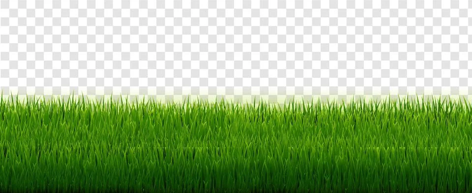 Green Grass Border With Transparent Background Stock Illustration