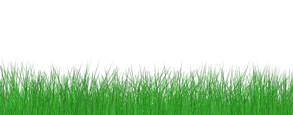 Green grass border on transparent background Stock Illustration