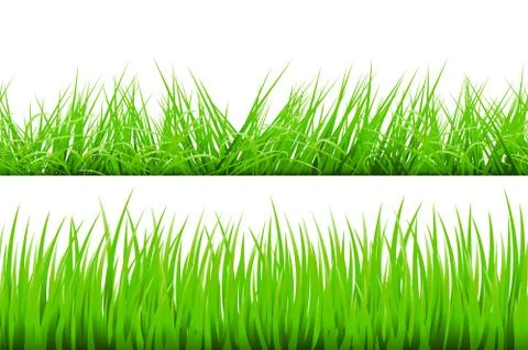 Green Grass Border, Vector Illustration Stock Illustration