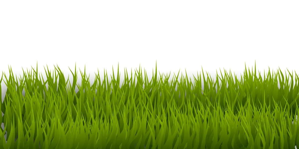 Green Grass Border, Vector Illustration Stock Illustration
