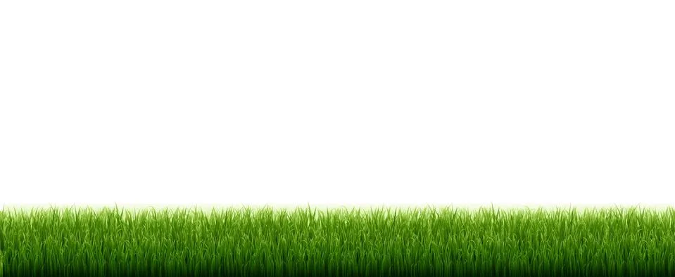 Green Grass Border With White Background Stock Illustration