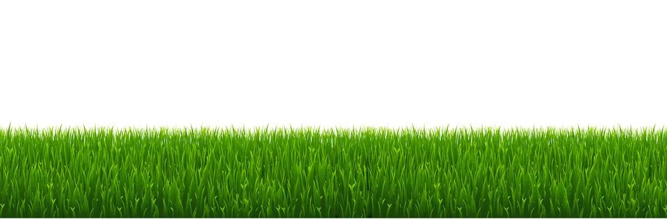 Green Grass Border With White Background Stock Illustration