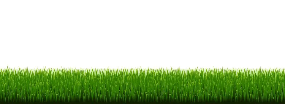 Green Grass Border With White Background Stock Illustration