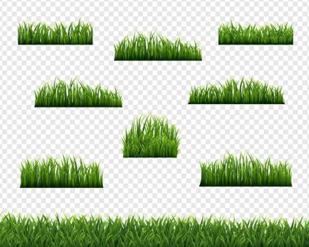 Green Grass Borders And Transparent Background Stock Illustration