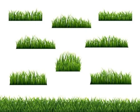 Green Grass Borders And White Background Stock Illustration