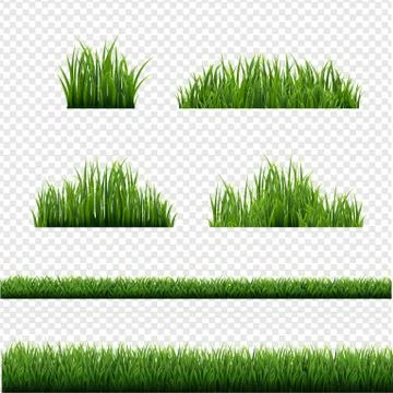 Green Grass Borders Collection Transparent Background Stock Illustration