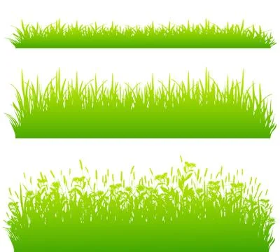 Green grass borders isolated on white background vector Illustrazione stock