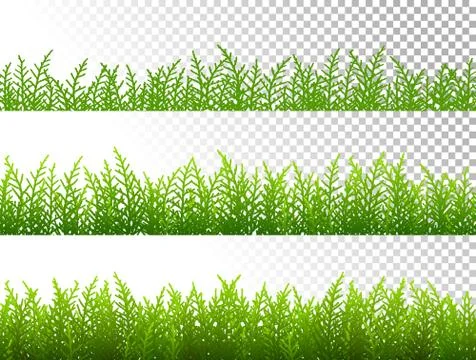 Green grass borders set on transparent background vector Stock Illustration