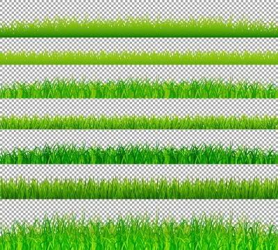 Green grass borders set on transparent background vector イラスト素材