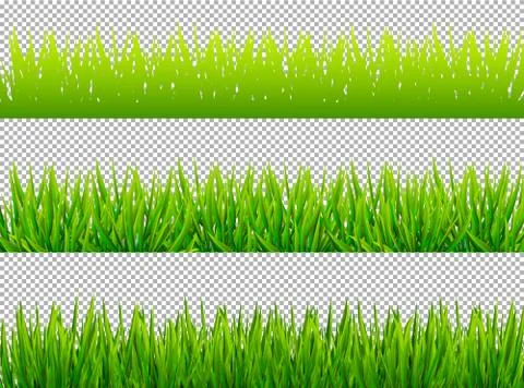 Green grass borders set on transparent background vector Stock Illustration