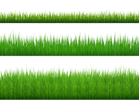 Green Grass Borders Set on transparent background. Vector Illustration. イラスト素材