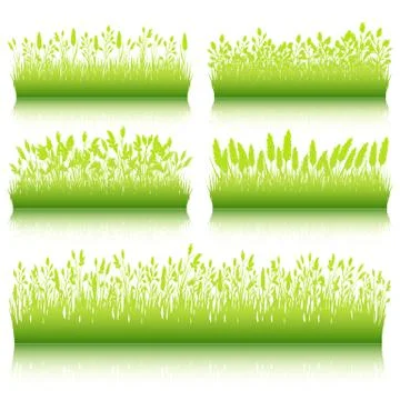 Green grass borders set on white background vector Stock Illustration