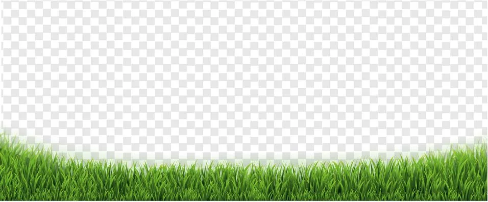 Green Grass Borders With Transparent Background Stock Illustration
