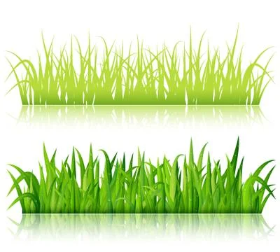 Green grass borders vector Stock Illustration