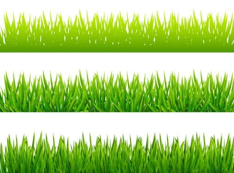 Green grass borfers on white background Stock Illustration