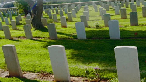 Green grass in a cemetery Stock Footage 274691175