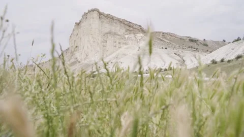 Green grass close-up. Footage. Suumer landscape. Grass swaying in the wind Stock Footage 144167141