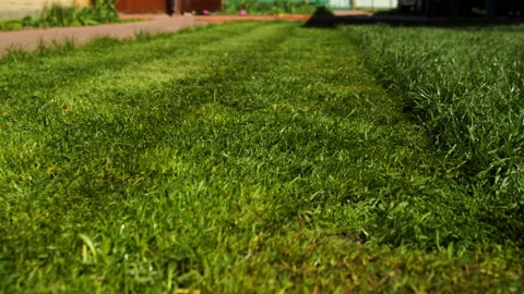 Green grass close-up. Slow motion low angle view to the green juicy lawn.  Ba 스톡 동영상 166197225