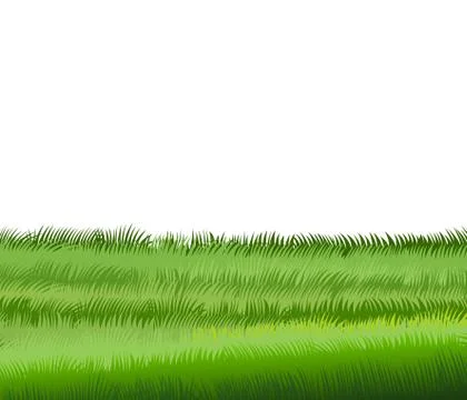 Green grass. Close-Up Vector. Isolated on a white background. Horizontal land Stock Illustration