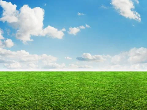 Green grass clouds Stock Photos