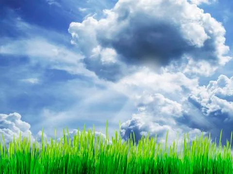 Green grass on cloudy sky Stock Photos