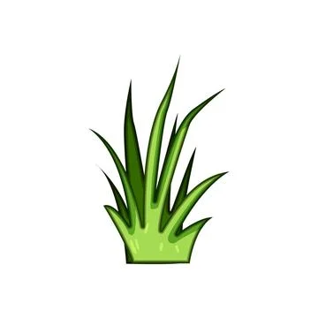 Green grass clump growing vector illustration Stock Illustration