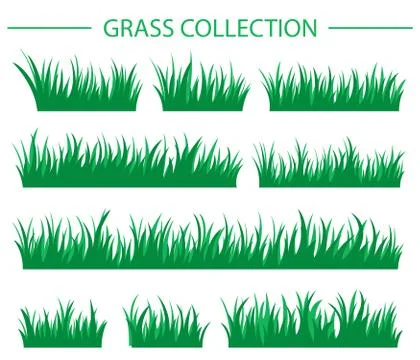 Green grass collection Stock Illustration