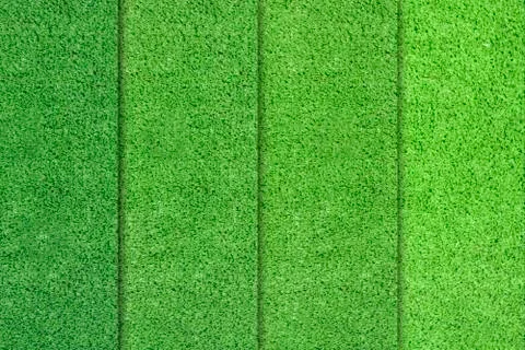 Green grass color differences Stock Illustration