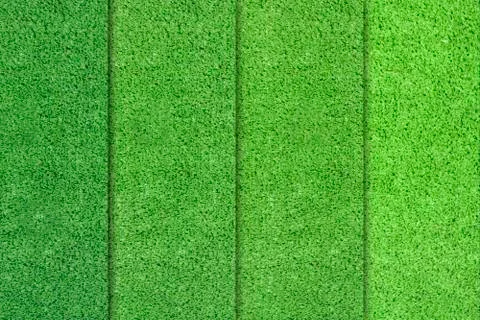Green grass color differences Stock Photos