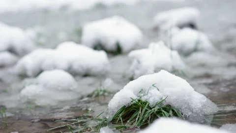 A green grass covered with wet spring snow. Stock Footage 236681435