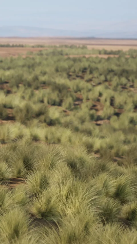 Green grass covers the landscape during the day in an open area Stock Footage 341255819
